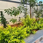 Truelife - Bhavya Manor - Breakfast - 2500 Sft Modern Homes For Family Stay - Garden With Flowers - Tirumala Mountain View - Fast Wifi - Peaceful Location - Many Restaurants Nearby - Large Hall, Ac Bedrooms, Kitchen - Android Tv - 250 Jio Channels