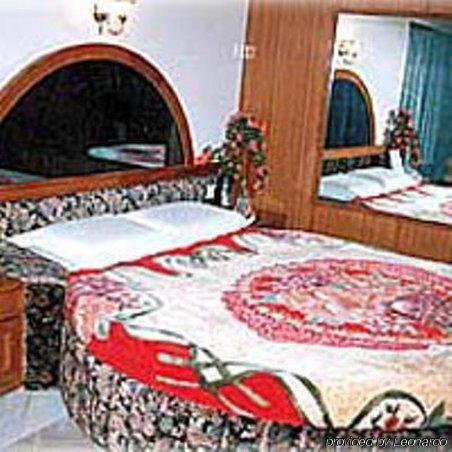 Sindhuri Park Hotel 3*