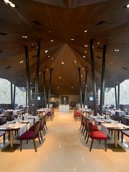 Hotel Marasa Sarovar Premiere 5*