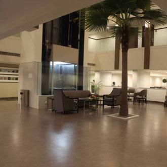 Hotel Minerva Grand