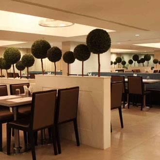 Minerva Grand Tirupati